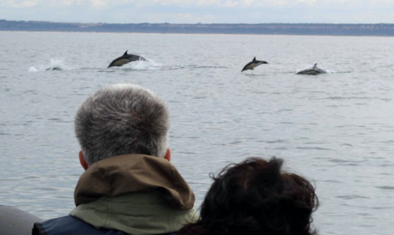 In een RIB dolfijnen spotten - Lissabon
