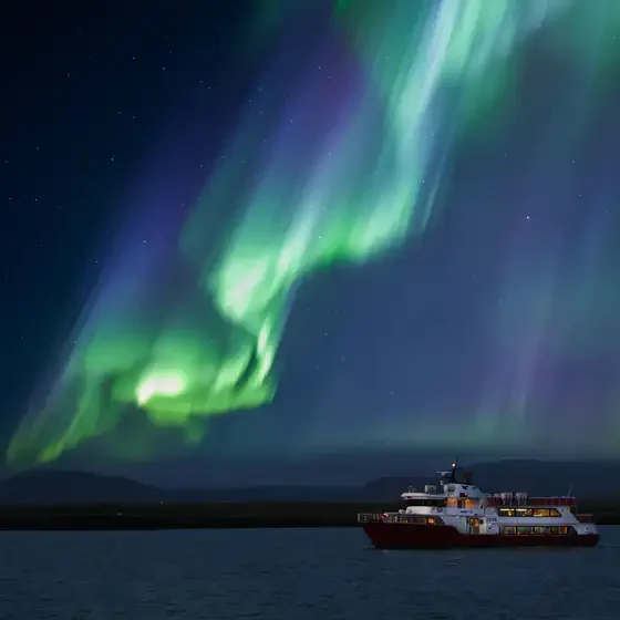 Noorderlicht cruise vanaf Reykjavik