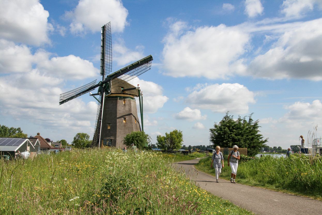 Informatie Wandelvierdaagse Bollenstreek | Oktober 2025